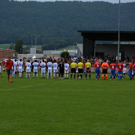 DSC_7019.JPG