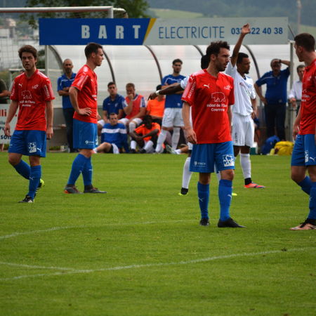 DSC_7073.JPG