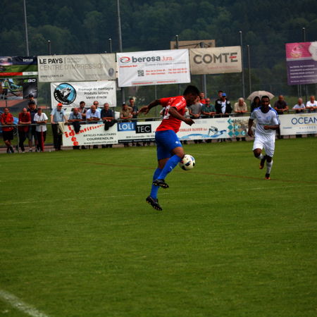 DSC_7113.JPG